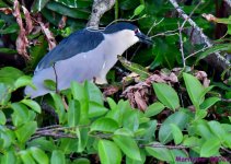 DSC_1819_001.JPG