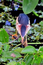 DSC_1869_001.JPG
