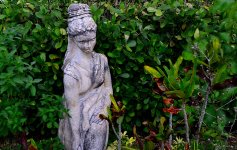 DSC_4612.JPG