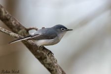 D50_3416.jpg