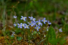 850_1063.jpg