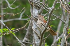 D50_3669.jpg