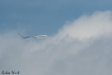 D50_3797.jpg