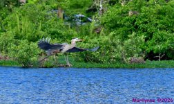 DSC_2040_001.JPG