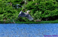 DSC_2041_001.JPG