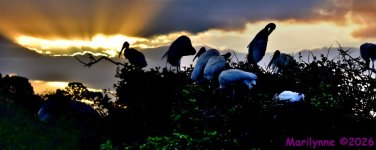 DSC_2153_stitch3_001.JPG
