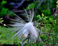 DSC_2177_001.JPG