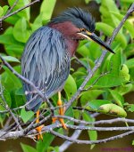 DSC_2204_001.JPG