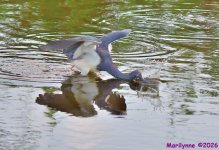 DSC_2260_001.JPG