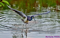 DSC_2265_001.JPG