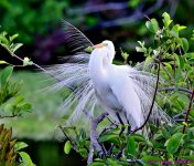 DSC_2400_001.JPG