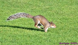 DSC_2457_001.JPG