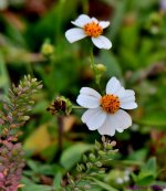 DSC_3292_001.JPG
