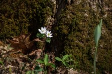 850_0876-Edit-Edit.jpg