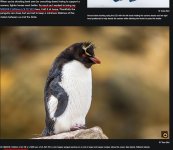 Nikon advert.jpg