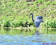 DSC_3379_001.JPG