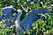 DSC_3570_001.JPG