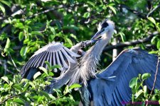 DSC_3571_001.JPG