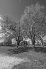 2024-04-28C.jpg