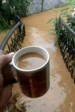 Nescafe Blend 43.jpg