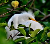 DSC_3689_001.JPG