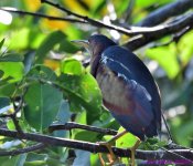 DSC_3872_001.JPG