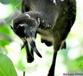 DSC_3881_001.JPG