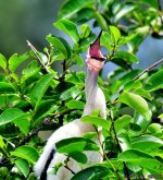 DSC_3891_001.JPG