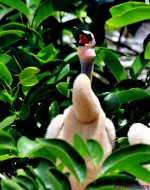 DSC_3898_001.JPG