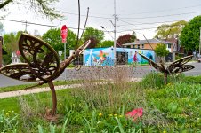 Weekly challenge 2026-05-06 street art.jpg