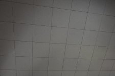 DSC_1144 (Medium).JPG