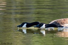 D50_3616.jpg
