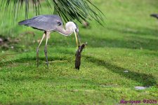 DSC_4581.JPG