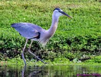 DSC_4622_001.JPG