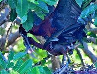 DSC_4691_001.JPG