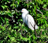 DSC_4806_001.JPG