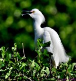 DSC_4830_001.JPG