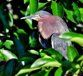 DSC_4861_001.JPG