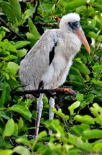 DSC_4925_001.JPG