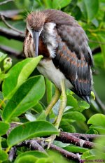 DSC_5040_001.JPG