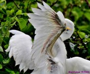 DSC_5044_001.JPG
