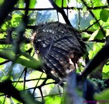 DSC_5155_001.JPG