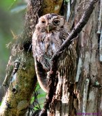 DSC_5167_001.JPG