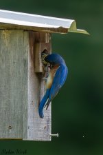 D50_5062.jpg