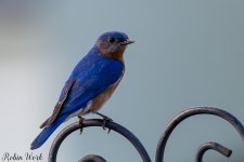 D50_5150.jpg