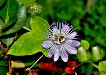 DSC_5246_001.JPG