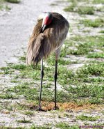 DSC_5318_001.JPG