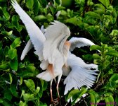DSC_5347_001.JPG