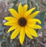 IMG_0213crops.jpeg