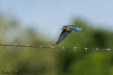 D50_4361.jpg